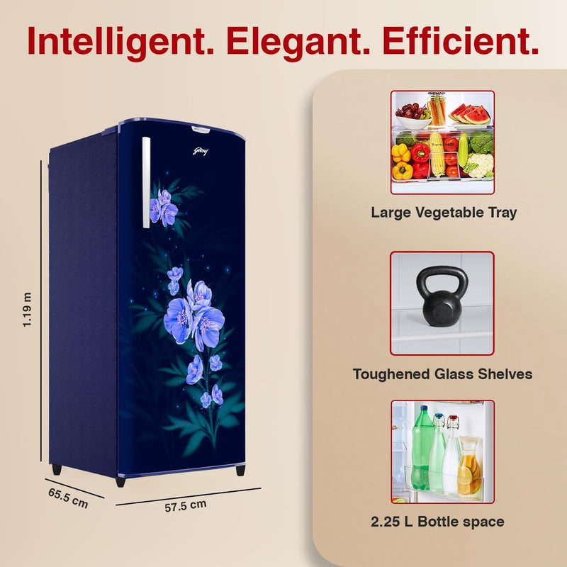 Godrej 180 L 4 Star Direct Cool Single Door Refrigerator (RD EDGENEO 207D THF MP BL)