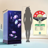 Haier 190 L 4 Star Direct Cool Single Door Refrigerator with Fast Ice Making, Easy Clean Back, Large Vegetable Box (HED-204TMIBA-N, Marine Ivy, Base Stand Drawer, )