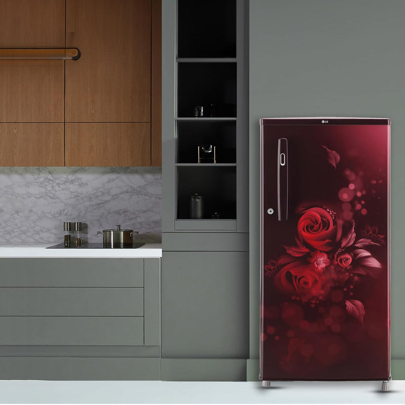 LG 185 L 4 Star Direct-Cool Inverter Single Door Refrigerator (GL-B199OSEY)