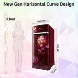 Samsung 215L 5 Star Inverter Direct-Cool Single Door Refrigerator Appliance (RR23C2H35RZ/HL,Midnight Blossom Red) Base Stand Drawer