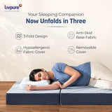 Livpure Mattress Comfort Foam Mattress Single: 36x72x4 LSH-MAT-RE-CF4-111