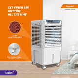Livpure Zencool Personal Air Cooler- 45L with High Air Delivery, Motor with Thermal Overload Protection, Anti-Bacterial Honeycomb Pads | Inverter Compatibility| 2 year Motor Warranty by Livpure