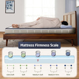 Livpure Mattress Comfort Foam Mattress Queen: 60x72x4 LSH-MAT-RE-CF4-211