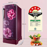 SAMSUNG 183 L Direct Cool Single Door 4 Star Refrigerator with Base Drawer with Digital Inverter (Camellia Purple, RR20C1824CR/HL)