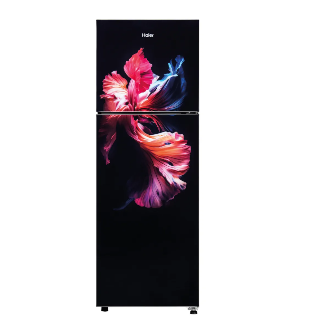 Haier 240L 2 Star Frost Free Double Door Refrigerator (HRF-2902EWGA-P, Wave Glass)