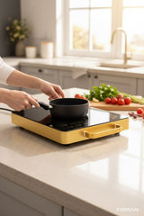 Surya Him Star Infrared Induction Cooker Induction Stove Model SK 1100 two side handle