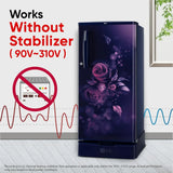 LG 185 L, 4 Star, Smart Inverter, Direct Cool Single Door Refrigerator (GLD1945ZOBE, Blue Euphoria, Base stand with Drawer)