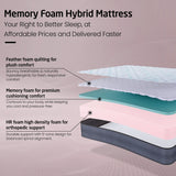 Livpure Mattress Ortho CurvX 6-Inch-Queen : 72x60x6 (RE) LSH-MAT-RE-ORCX6-211