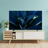 Foxsky 80 cm (32 inch) HD Ready LED Smart TV, 2K Series 32FS ELS PRO