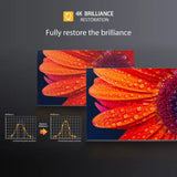 TOSHIBA 65C380RP 165 cm (65 inch) Ultra HD (4K) LED Smart VIDAA TV  (65C380RP)