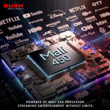 Bush QLED 108 cm (43 inch) Full HD LED Smart Android Based TV 2025 Edition with Remote, Frameless Design and Free to Air channel movie box and Sound bar (QLED-43) BB4300S PRO