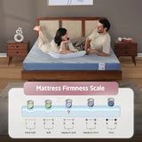 Livpure Mattress Comfort Foam Mattress King: 78x72x4 (RE) LSH-MAT-RE-CF4-331