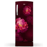 Whirlpool 215 L Direct Cool Single Door 3 Star Refrigerator,215 IMPRO PRM 3S PURPLE PEONY-Z