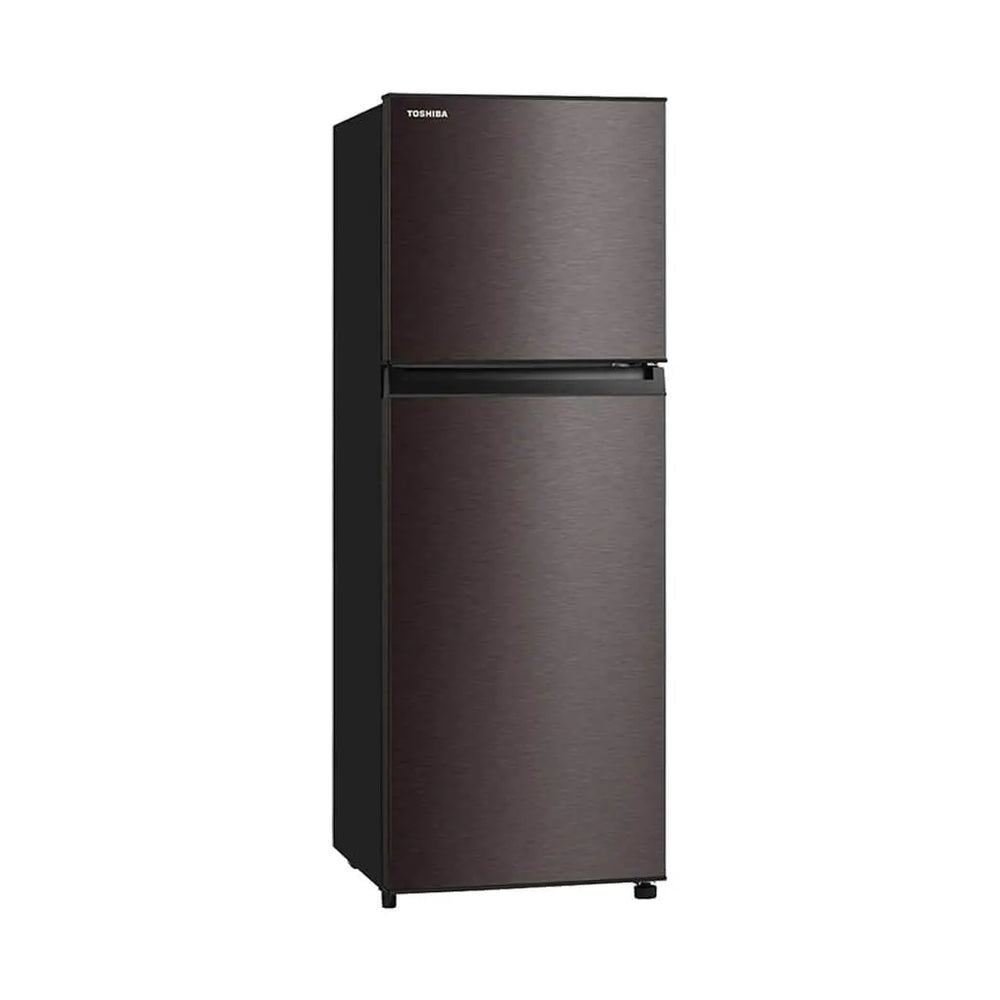 Toshiba 233L Frost Free Real Inverter Refrigerator (Satin Grey