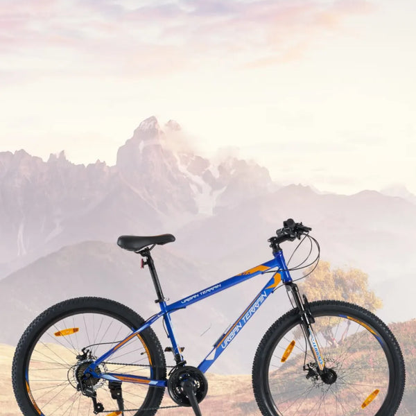 Urban terrain fat online bike